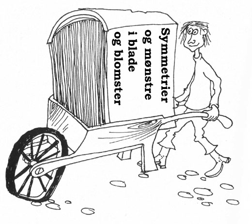 bachelorforside.jpg
