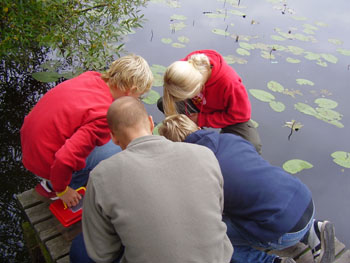 Insekter er spændende når man selv har fanget dem og de bevæger sig.
